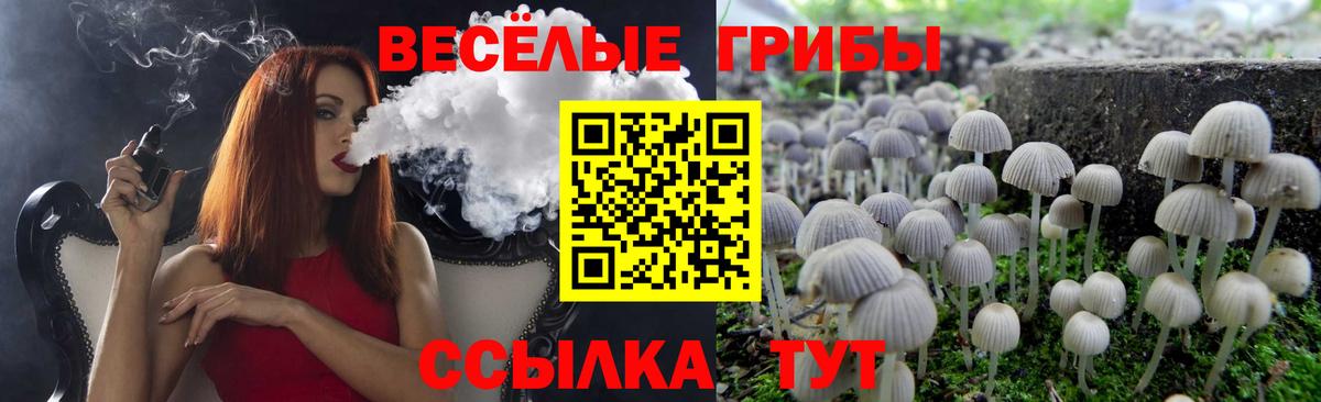 Галлюциногенные грибы Psilocybe  сколько стоит  Похвистнево  Вход с VPN 